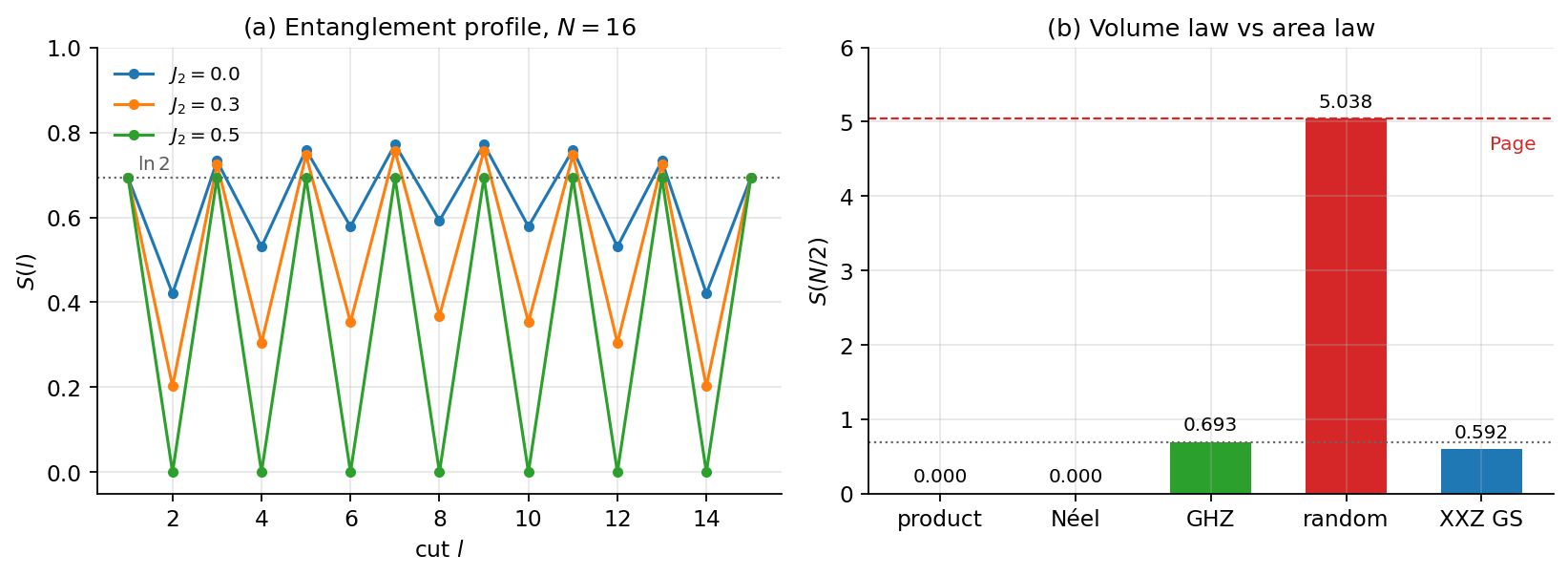 N=16 的纠缠剖面:$J_2=0$、$0.3$、$0.5$ 与四种参照态